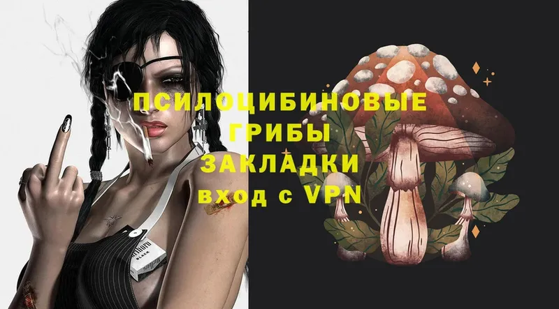 Псилоцибиновые грибы Magic Shrooms  как найти наркотики  Мыски 